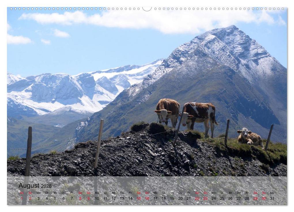 Weitere Ansicht: Saanenland. Ein Kalender aus dem Berner Oberland (hochwertiger Premium Wandkalender 2026 DIN A2 quer), Kunstdruck in Hochglanz | Utes FotografieKontor, Calvendo