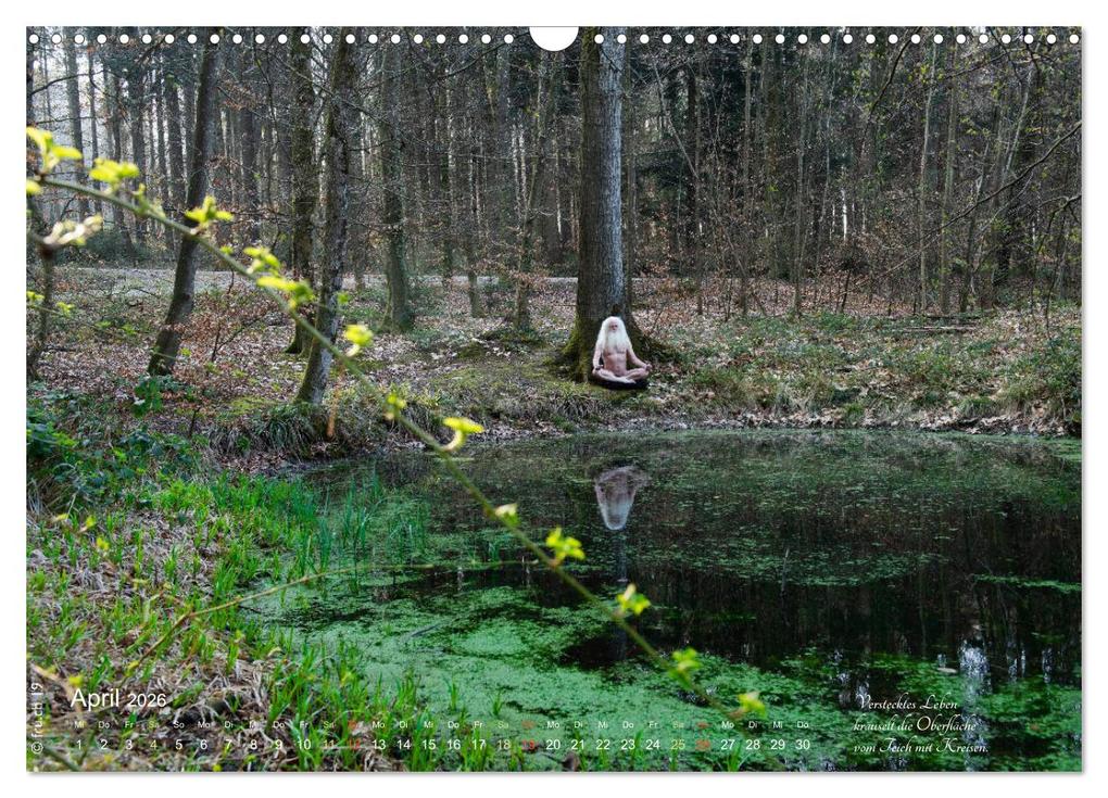 Weitere Ansicht: HAIKU AM TEICH (Wandkalender 2026 DIN A3 quer), CALVENDO Monatskalender | fru.ch fru.ch, Calvendo, Fru.ch