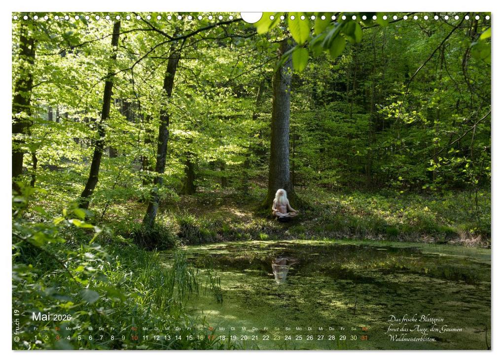 Weitere Ansicht: HAIKU AM TEICH (Wandkalender 2026 DIN A3 quer), CALVENDO Monatskalender | fru.ch fru.ch, Calvendo, Fru.ch