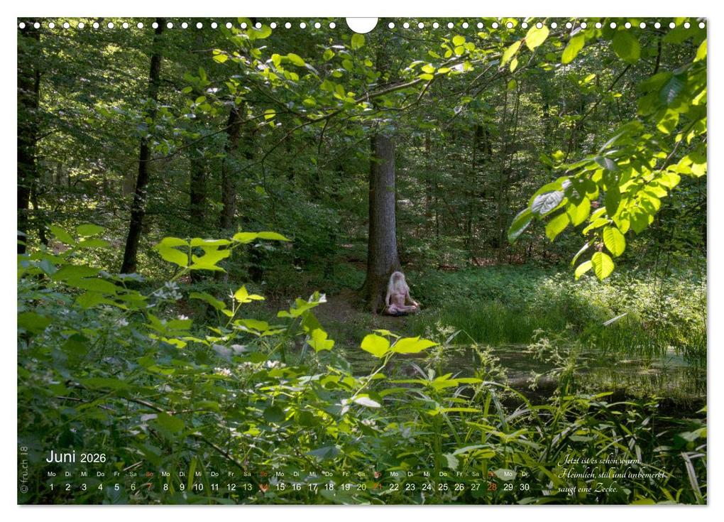 Weitere Ansicht: HAIKU AM TEICH (Wandkalender 2026 DIN A3 quer), CALVENDO Monatskalender | fru.ch fru.ch, Calvendo, Fru.ch