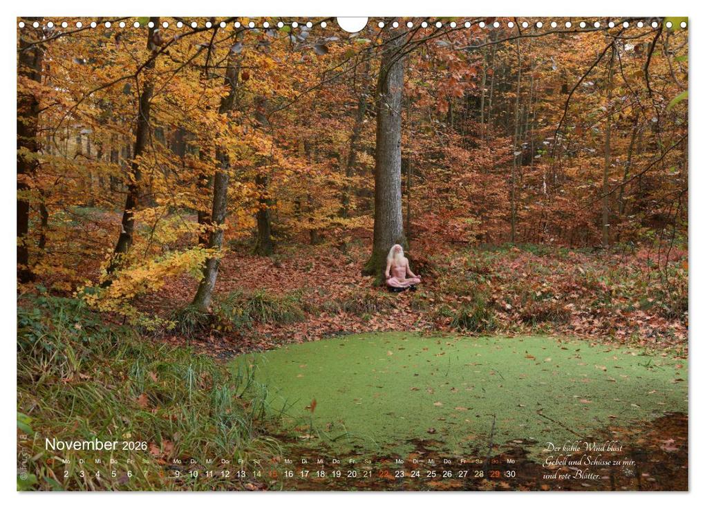 Weitere Ansicht: HAIKU AM TEICH (Wandkalender 2026 DIN A3 quer), CALVENDO Monatskalender | fru.ch fru.ch, Calvendo, Fru.ch