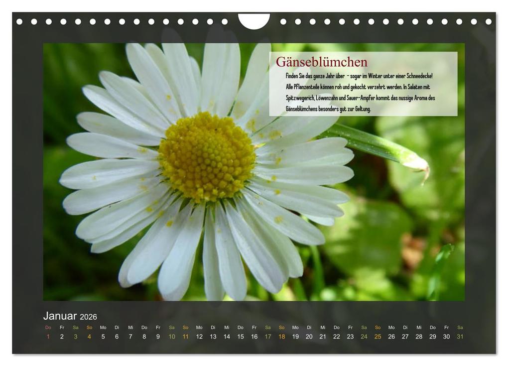 Weitere Ansicht: Outdoor-Survival-Kalender (Wandkalender 2026 DIN A4 quer), CALVENDO Monatskalender | Xenia Schaad, Calvendo