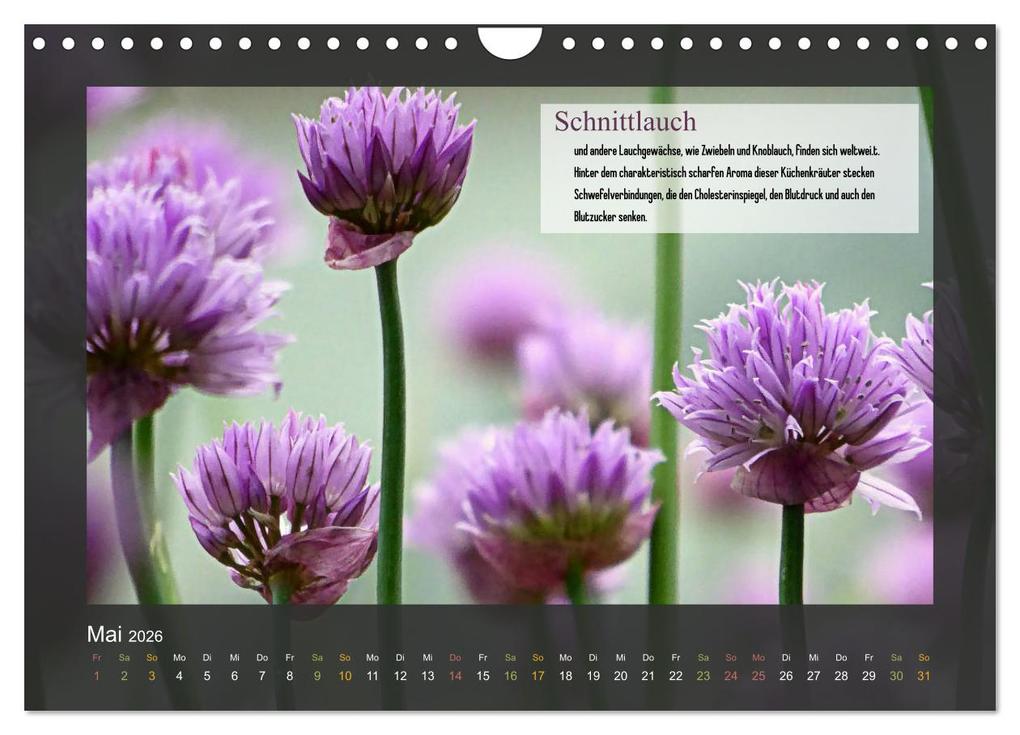 Weitere Ansicht: Outdoor-Survival-Kalender (Wandkalender 2026 DIN A4 quer), CALVENDO Monatskalender | Xenia Schaad, Calvendo