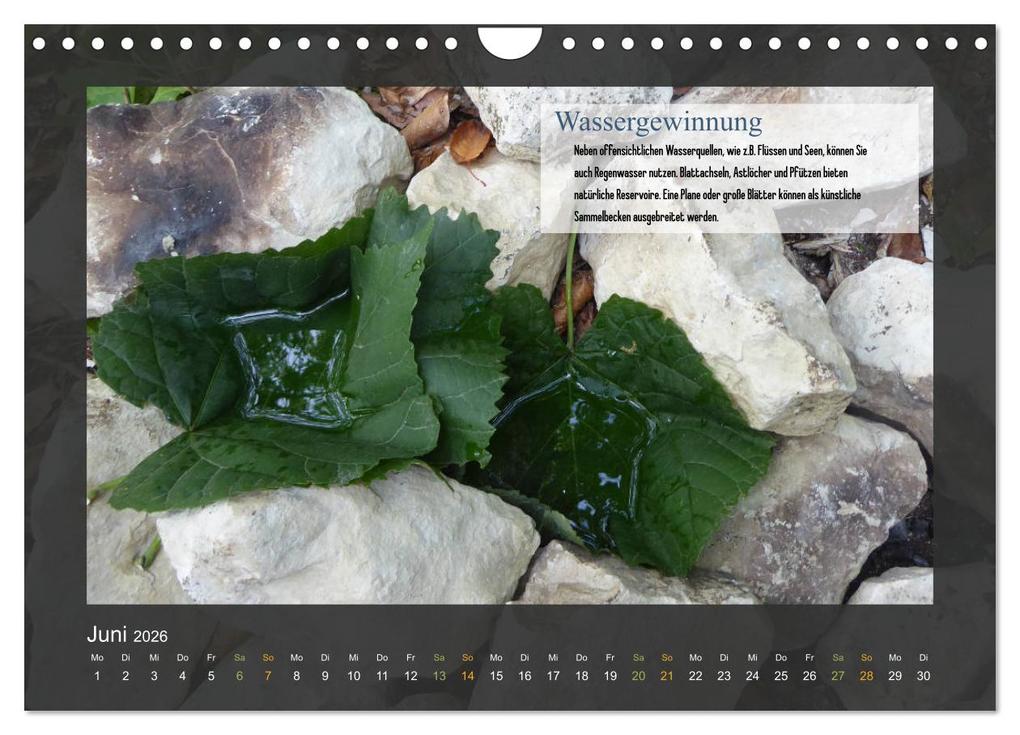 Weitere Ansicht: Outdoor-Survival-Kalender (Wandkalender 2026 DIN A4 quer), CALVENDO Monatskalender | Xenia Schaad, Calvendo
