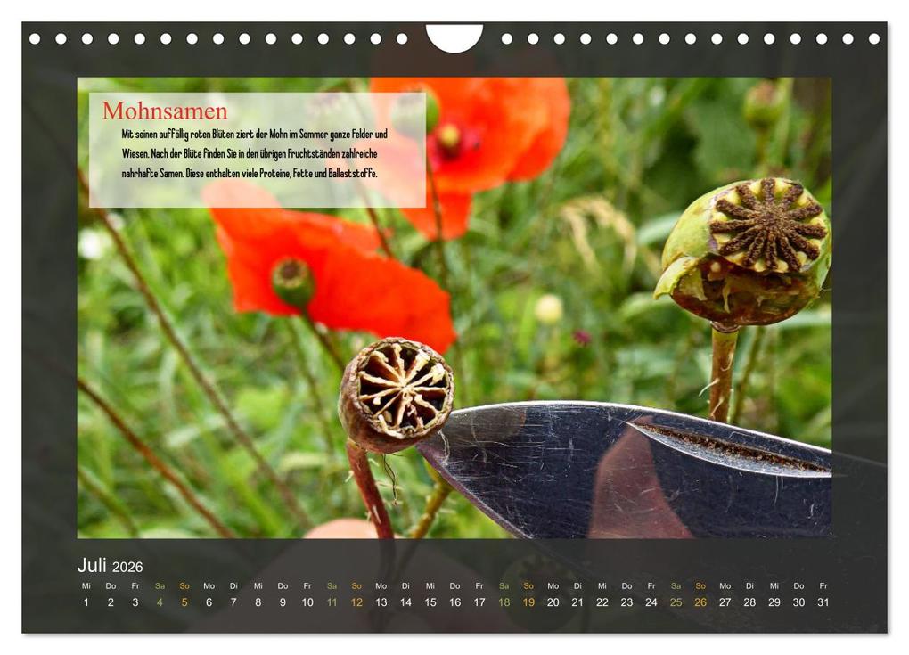 Weitere Ansicht: Outdoor-Survival-Kalender (Wandkalender 2026 DIN A4 quer), CALVENDO Monatskalender | Xenia Schaad, Calvendo