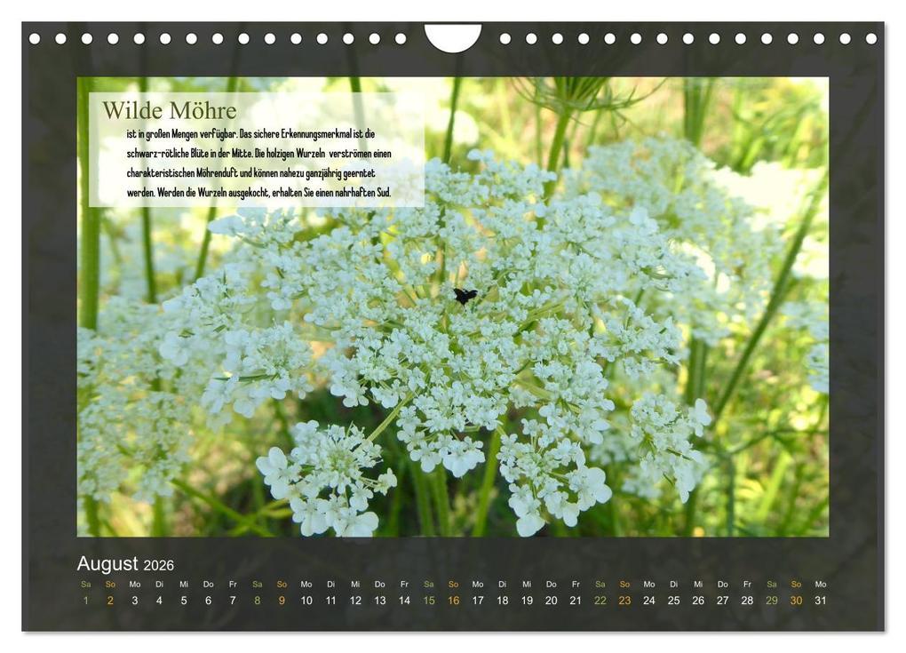 Weitere Ansicht: Outdoor-Survival-Kalender (Wandkalender 2026 DIN A4 quer), CALVENDO Monatskalender | Xenia Schaad, Calvendo