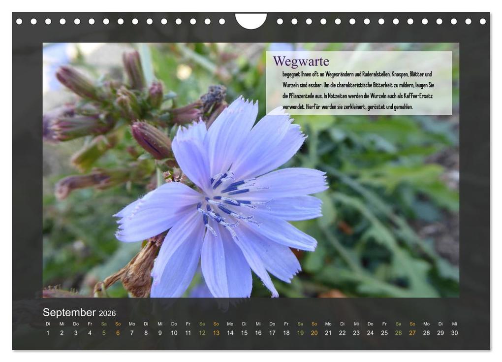 Weitere Ansicht: Outdoor-Survival-Kalender (Wandkalender 2026 DIN A4 quer), CALVENDO Monatskalender | Xenia Schaad, Calvendo