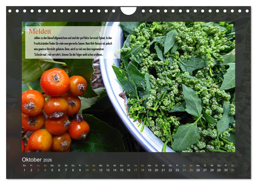 Weitere Ansicht: Outdoor-Survival-Kalender (Wandkalender 2026 DIN A4 quer), CALVENDO Monatskalender | Xenia Schaad, Calvendo