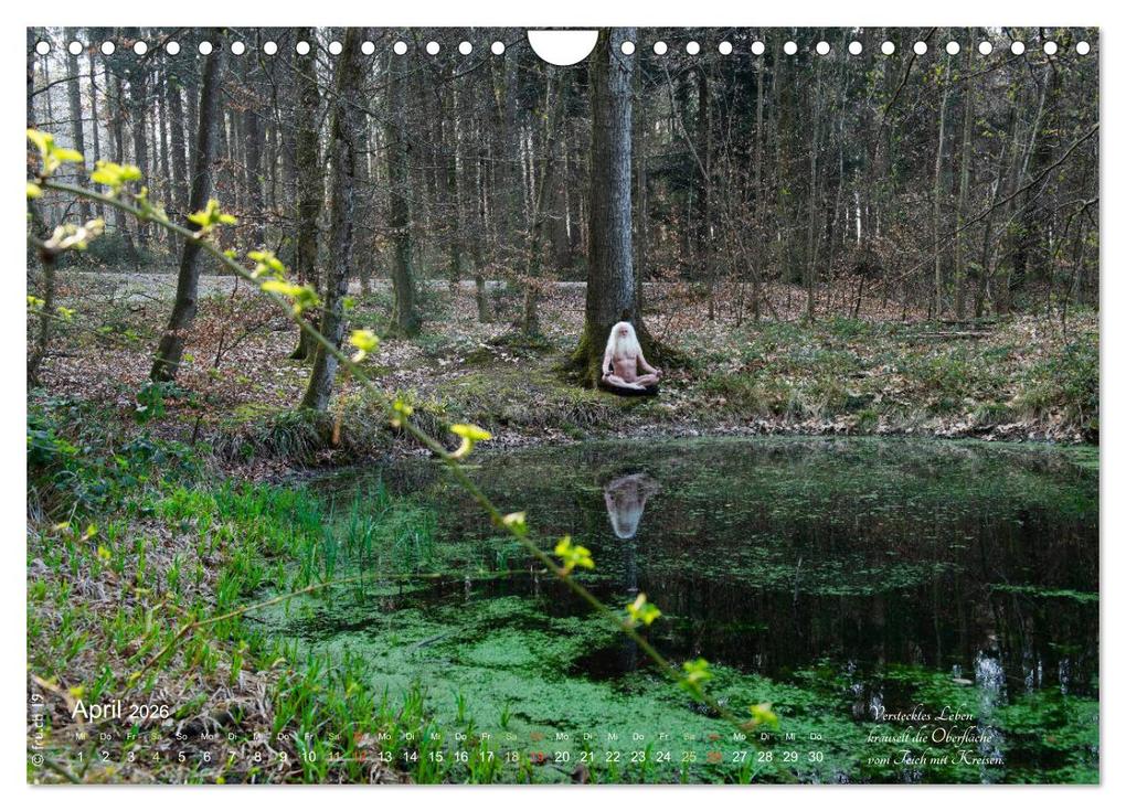 Weitere Ansicht: HAIKU AM TEICH (Wandkalender 2026 DIN A4 quer), CALVENDO Monatskalender | fru.ch fru.ch, Calvendo, Fru.ch