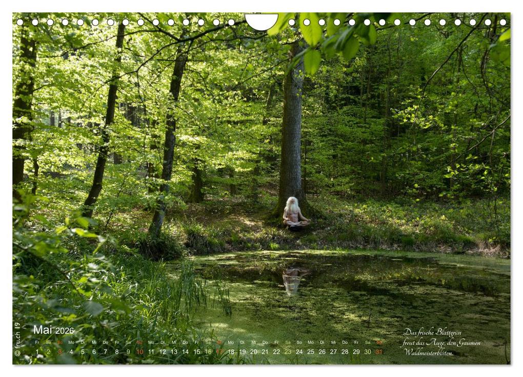 Weitere Ansicht: HAIKU AM TEICH (Wandkalender 2026 DIN A4 quer), CALVENDO Monatskalender | fru.ch fru.ch, Calvendo, Fru.ch