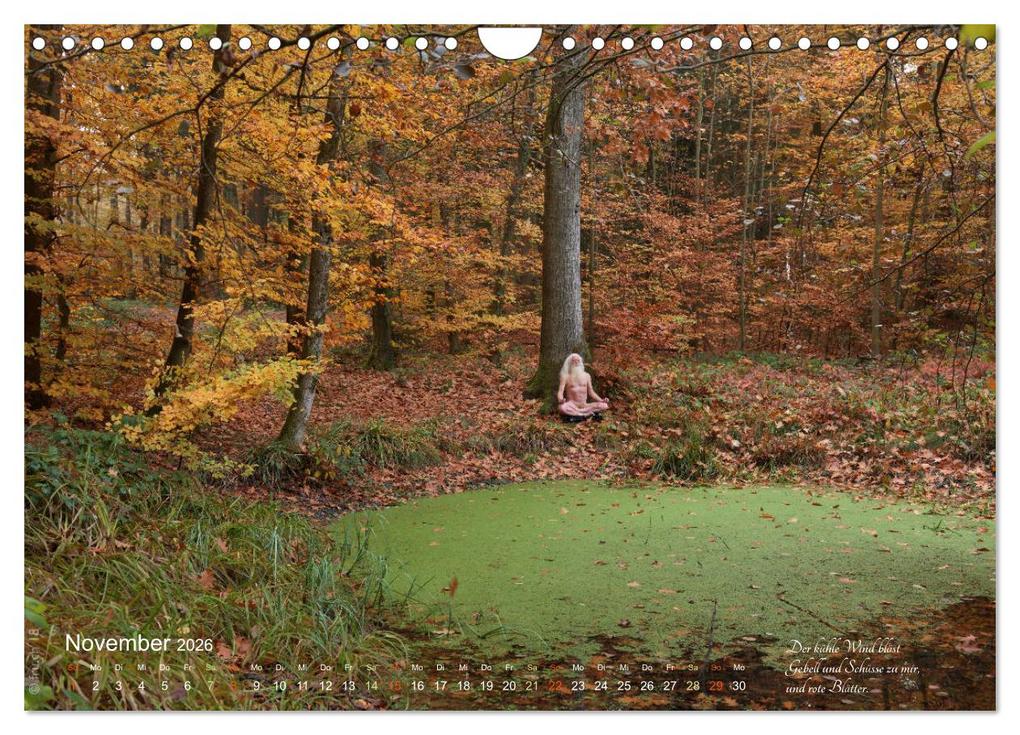 Weitere Ansicht: HAIKU AM TEICH (Wandkalender 2026 DIN A4 quer), CALVENDO Monatskalender | fru.ch fru.ch, Calvendo, Fru.ch