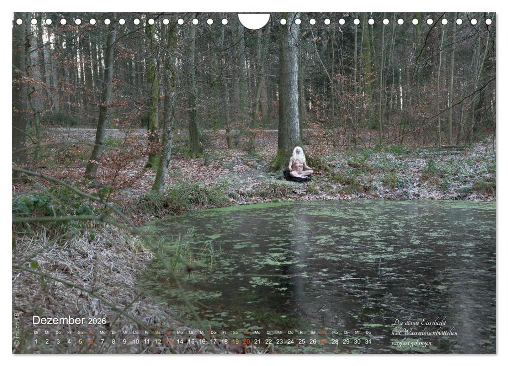 Weitere Ansicht: HAIKU AM TEICH (Wandkalender 2026 DIN A4 quer), CALVENDO Monatskalender | fru.ch fru.ch, Calvendo, Fru.ch