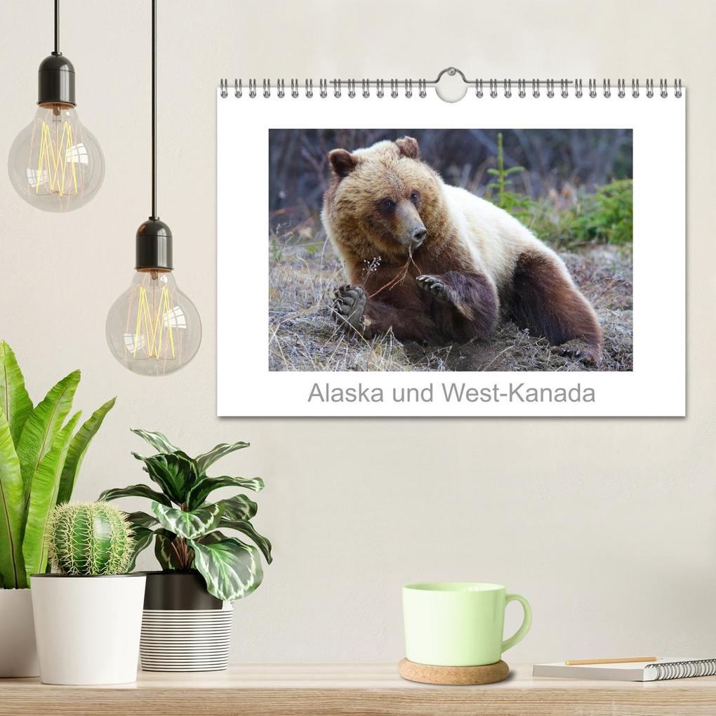 Weitere Ansicht: Alaska und West-Kanada (Wandkalender 2026 DIN A4 quer), CALVENDO Monatskalender | Carsten Braue, Calvendo