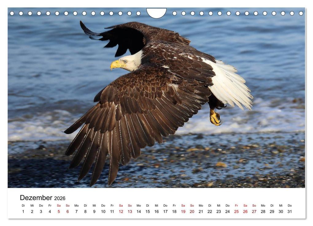 Weitere Ansicht: Alaska und West-Kanada (Wandkalender 2026 DIN A4 quer), CALVENDO Monatskalender | Carsten Braue, Calvendo