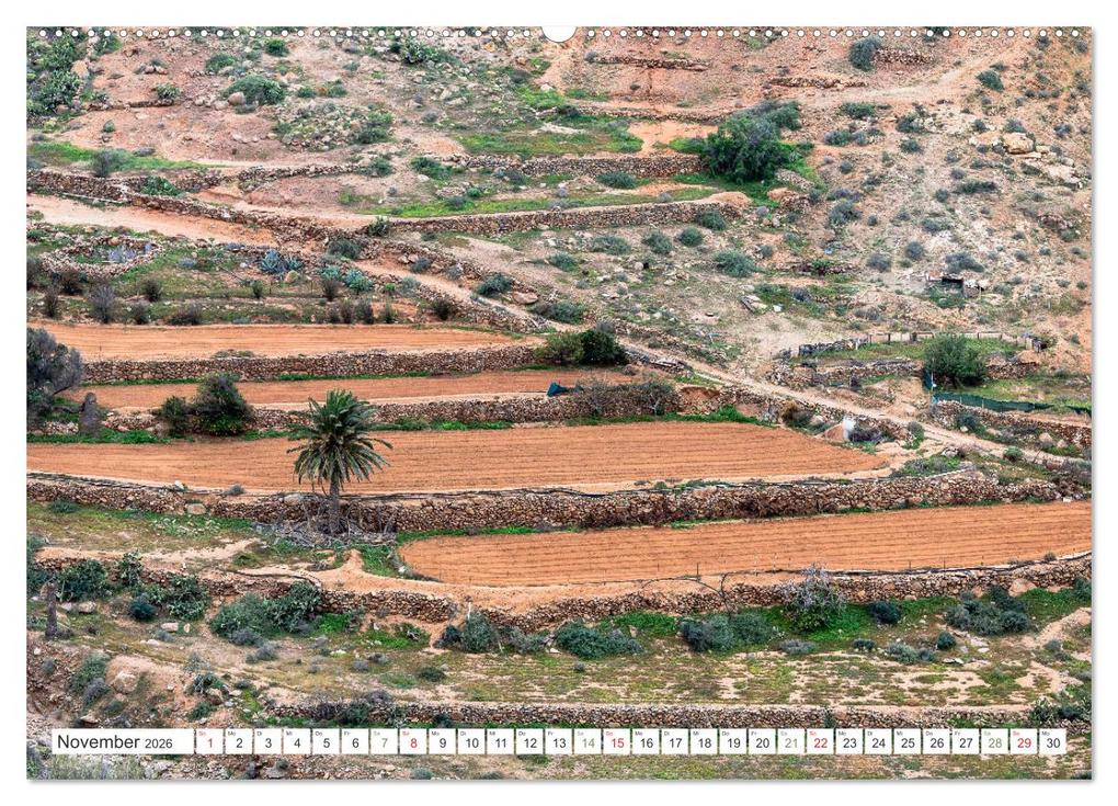 Weitere Ansicht: Fuerteventura - Wüstenzauber und Meeresrauschen (Wandkalender 2026 DIN A2 quer), CALVENDO Monatskalender | Dieter Meyer, Calvendo