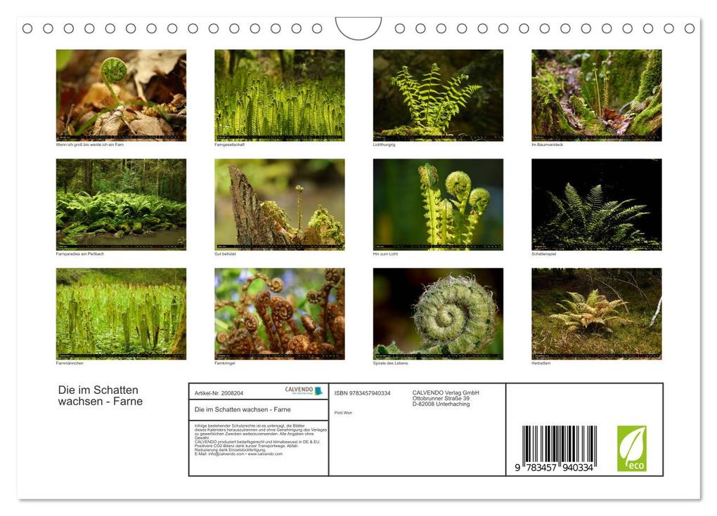 Weitere Ansicht: Die im Schatten wachsen - Farne (Wandkalender 2026 DIN A4 quer), CALVENDO Monatskalender | Calvendo, Pörli Won