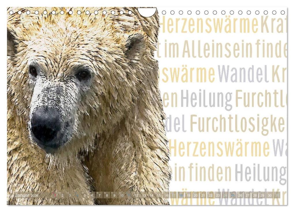 Weitere Ansicht: Mein wildes Krafttier und seine spirituellen Werte. (Wandkalender 2026 DIN A4 quer), CALVENDO Monatskalender | Calvendo, Astrid Ryzek