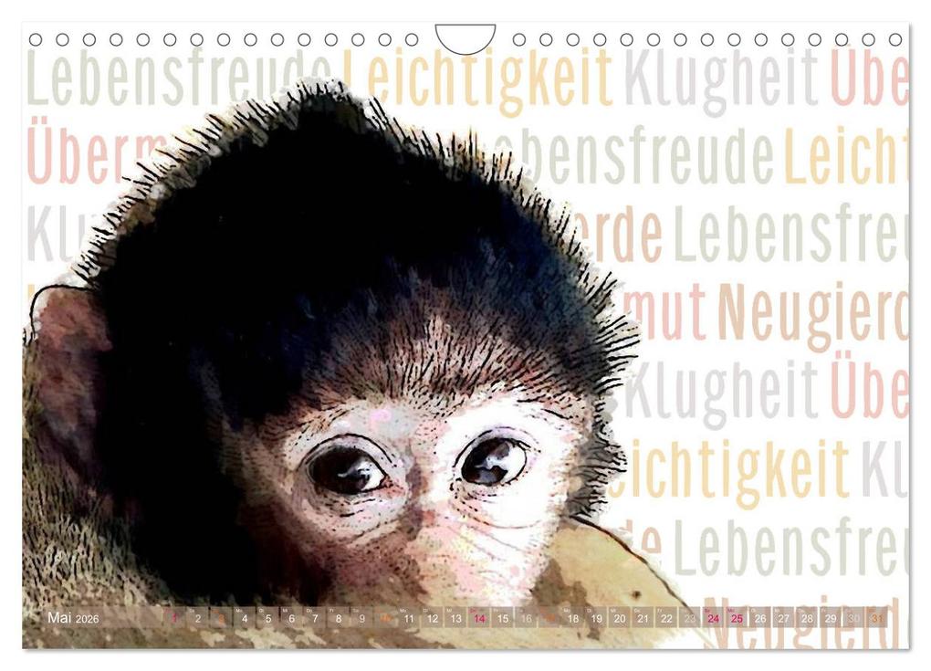 Weitere Ansicht: Mein wildes Krafttier und seine spirituellen Werte. (Wandkalender 2026 DIN A4 quer), CALVENDO Monatskalender | Calvendo, Astrid Ryzek