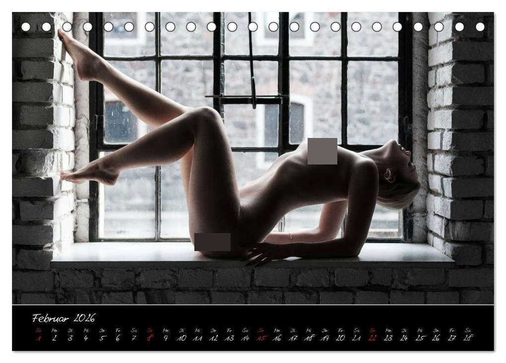 Weitere Ansicht: PinUp-Kalender 2026 (Tischkalender 2026 DIN A5 quer), CALVENDO Monatskalender | DREAMPIXX DREAMPIXX, Calvendo, DREAMPIXX