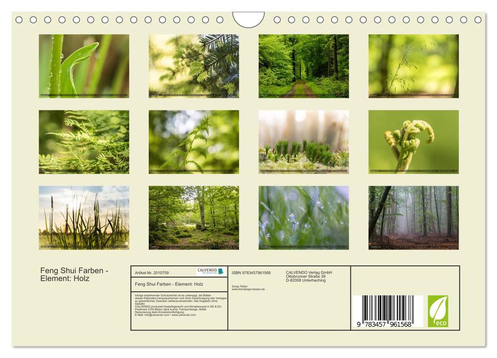 Weitere Ansicht: Feng Shui Farben - Element: Holz (Wandkalender 2026 DIN A4 quer), CALVENDO Monatskalender | Calvendo, Sonja Teßen