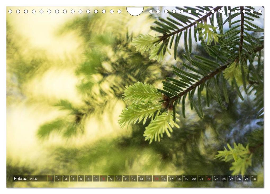Weitere Ansicht: Feng Shui Farben - Element: Holz (Wandkalender 2026 DIN A4 quer), CALVENDO Monatskalender | Calvendo, Sonja Teßen