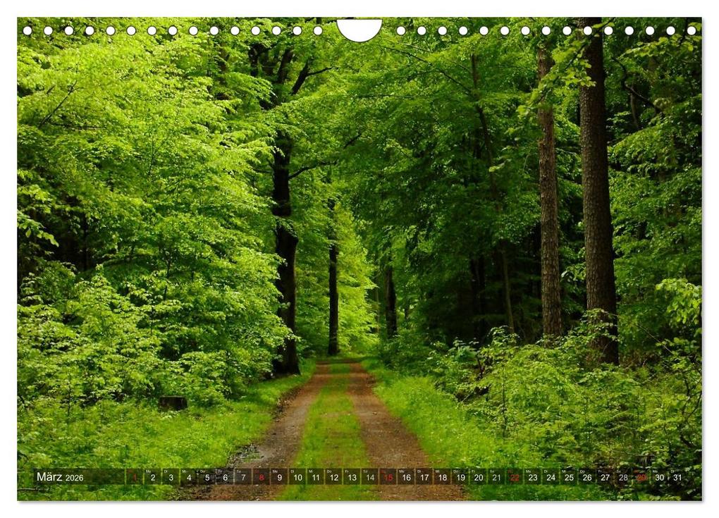 Weitere Ansicht: Feng Shui Farben - Element: Holz (Wandkalender 2026 DIN A4 quer), CALVENDO Monatskalender | Calvendo, Sonja Teßen
