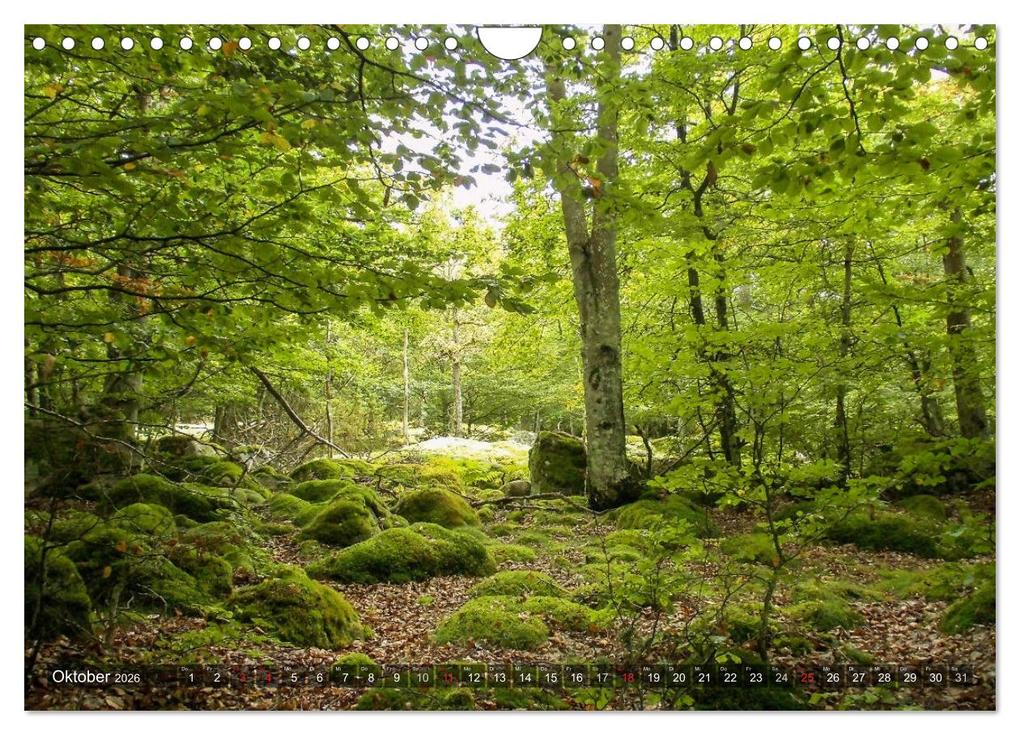Weitere Ansicht: Feng Shui Farben - Element: Holz (Wandkalender 2026 DIN A4 quer), CALVENDO Monatskalender | Calvendo, Sonja Teßen
