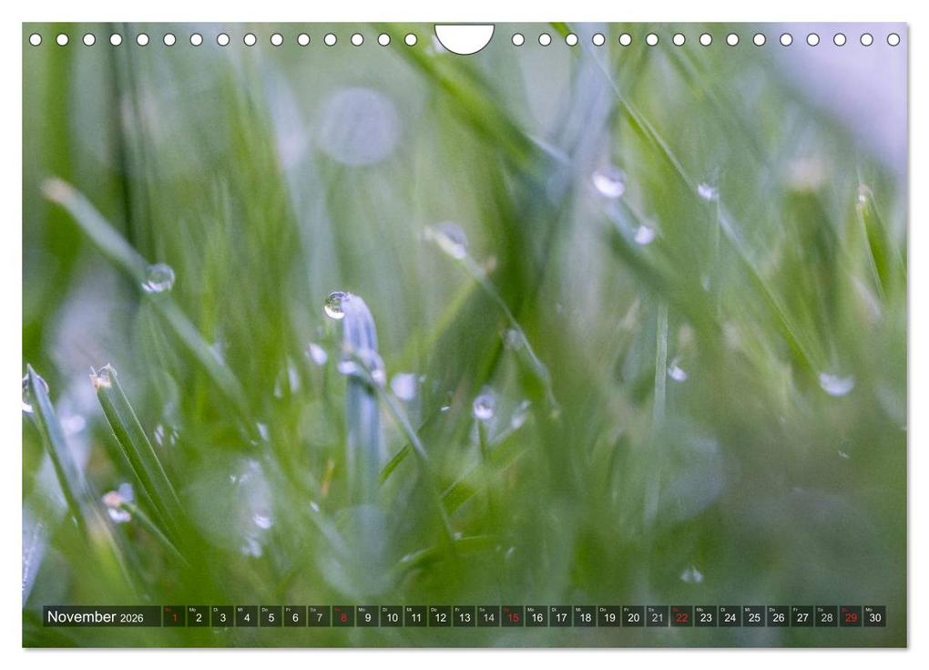 Weitere Ansicht: Feng Shui Farben - Element: Holz (Wandkalender 2026 DIN A4 quer), CALVENDO Monatskalender | Calvendo, Sonja Teßen