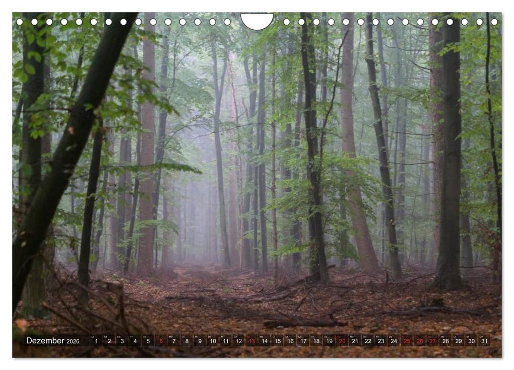 Weitere Ansicht: Feng Shui Farben - Element: Holz (Wandkalender 2026 DIN A4 quer), CALVENDO Monatskalender | Calvendo, Sonja Teßen
