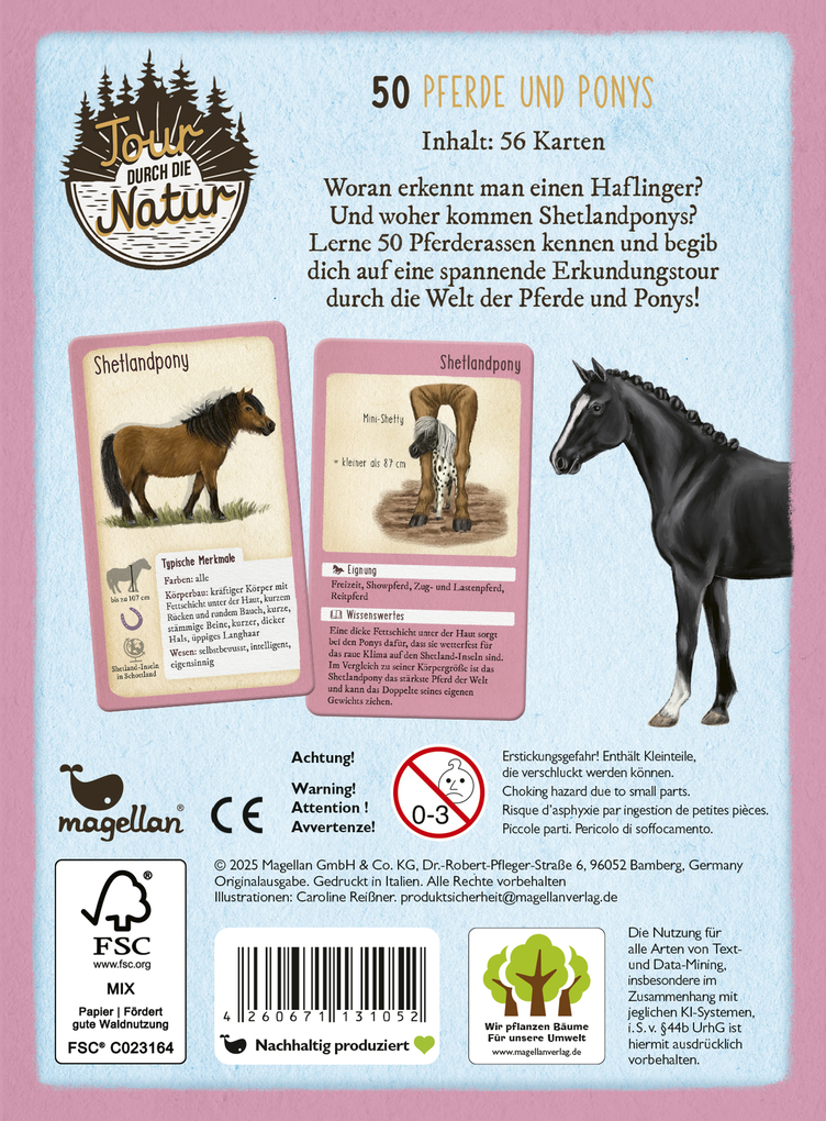Weitere Ansicht: Tour durch die Natur - 50 Pferde und Ponys