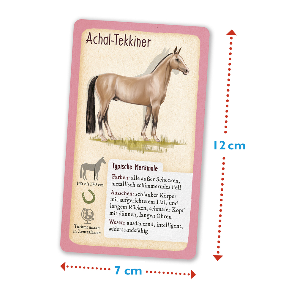 Weitere Ansicht: Tour durch die Natur - 50 Pferde und Ponys