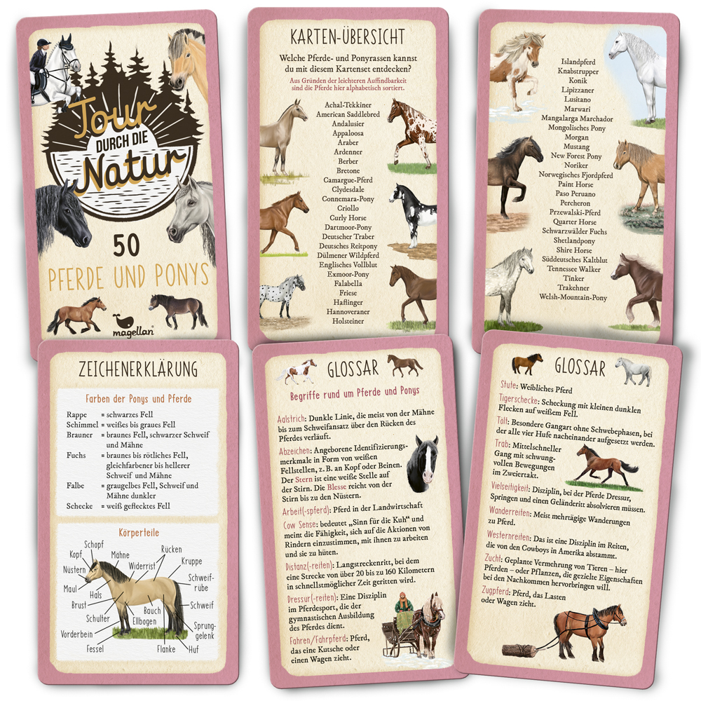 Weitere Ansicht: Tour durch die Natur - 50 Pferde und Ponys