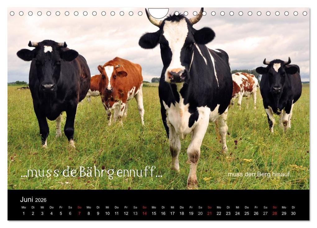 Weitere Ansicht: Die Wetterau mit Mundart-Statements (Wandkalender 2026 DIN A4 quer), CALVENDO Monatskalender | Calvendo, kexDESIGN, Kornelia Exner, kexDESIGN Exner