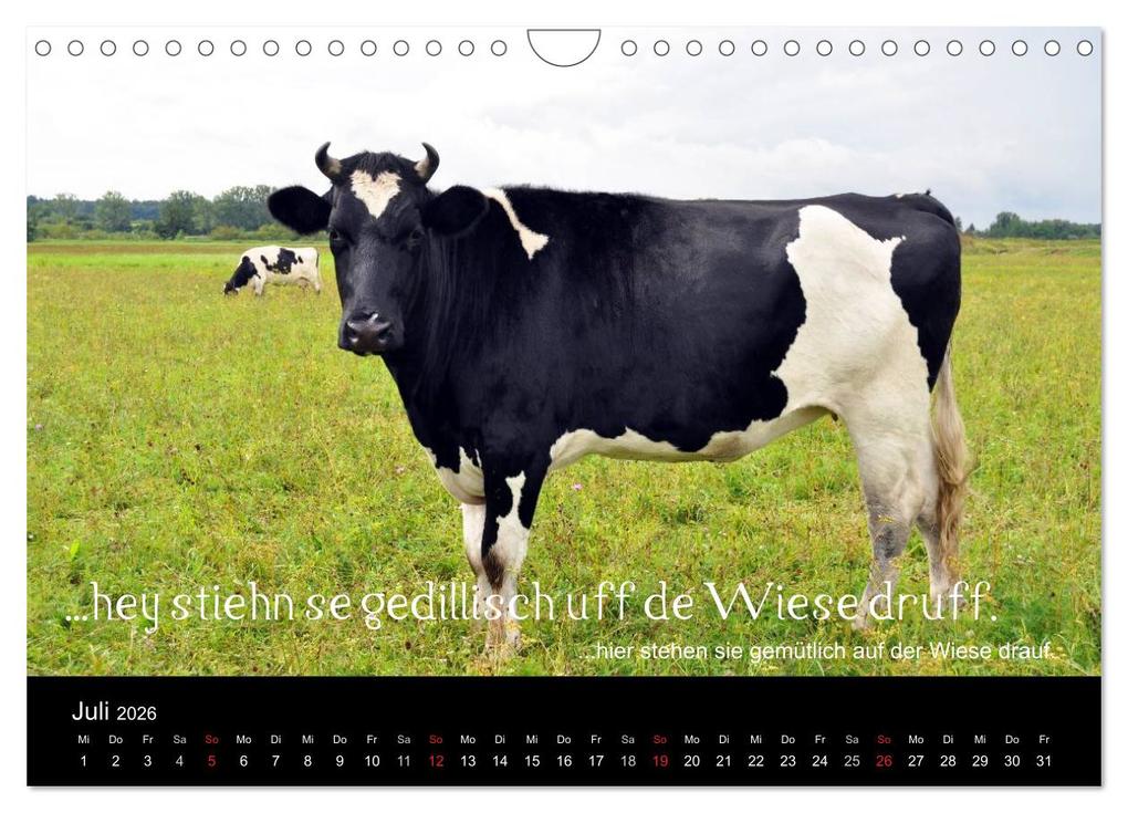 Weitere Ansicht: Die Wetterau mit Mundart-Statements (Wandkalender 2026 DIN A4 quer), CALVENDO Monatskalender | Calvendo, kexDESIGN, Kornelia Exner, kexDESIGN Exner