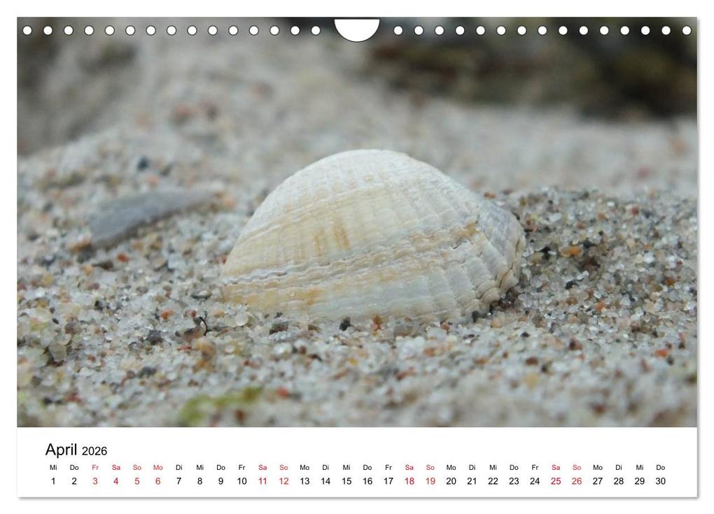 Weitere Ansicht: Lübecker Bucht (Wandkalender 2026 DIN A4 quer), CALVENDO Monatskalender | Calvendo, André Tams