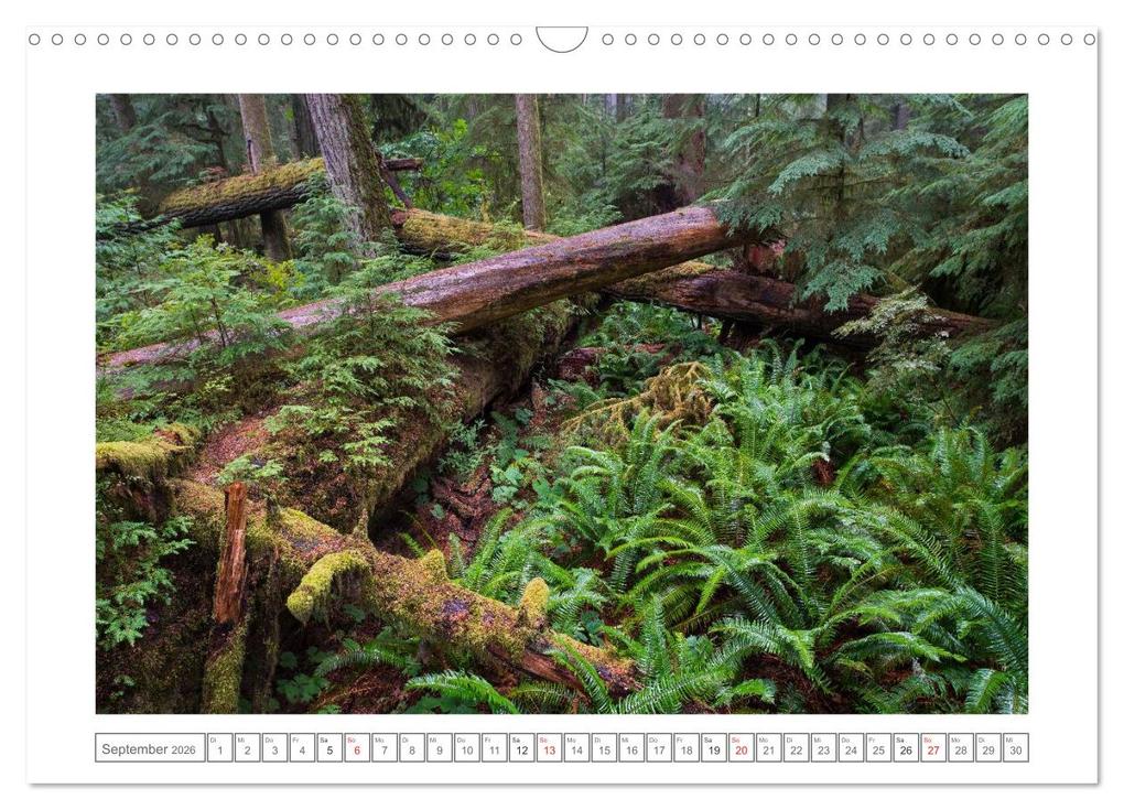 Weitere Ansicht: Vancouver Island (Wandkalender 2026 DIN A3 quer), CALVENDO Monatskalender | Calvendo, Boris Buschardt