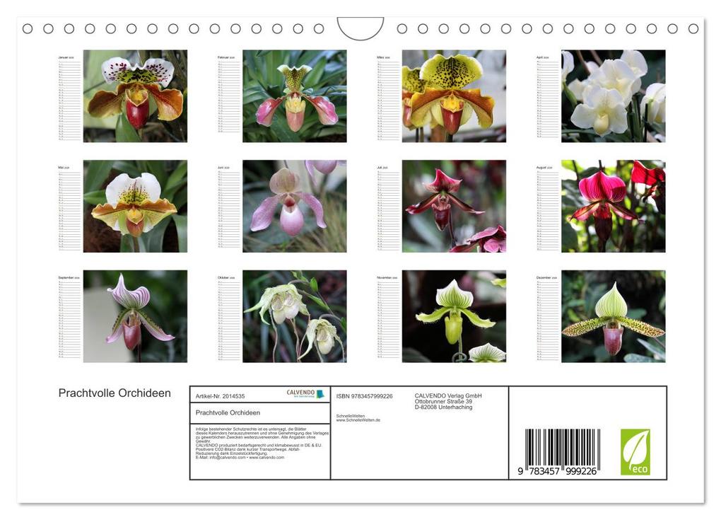 Weitere Ansicht: Prachtvolle Orchideen (Wandkalender 2026 DIN A4 quer), CALVENDO Monatskalender | Calvendo, Schnellewelten, SchnelleWelten SchnelleWelten