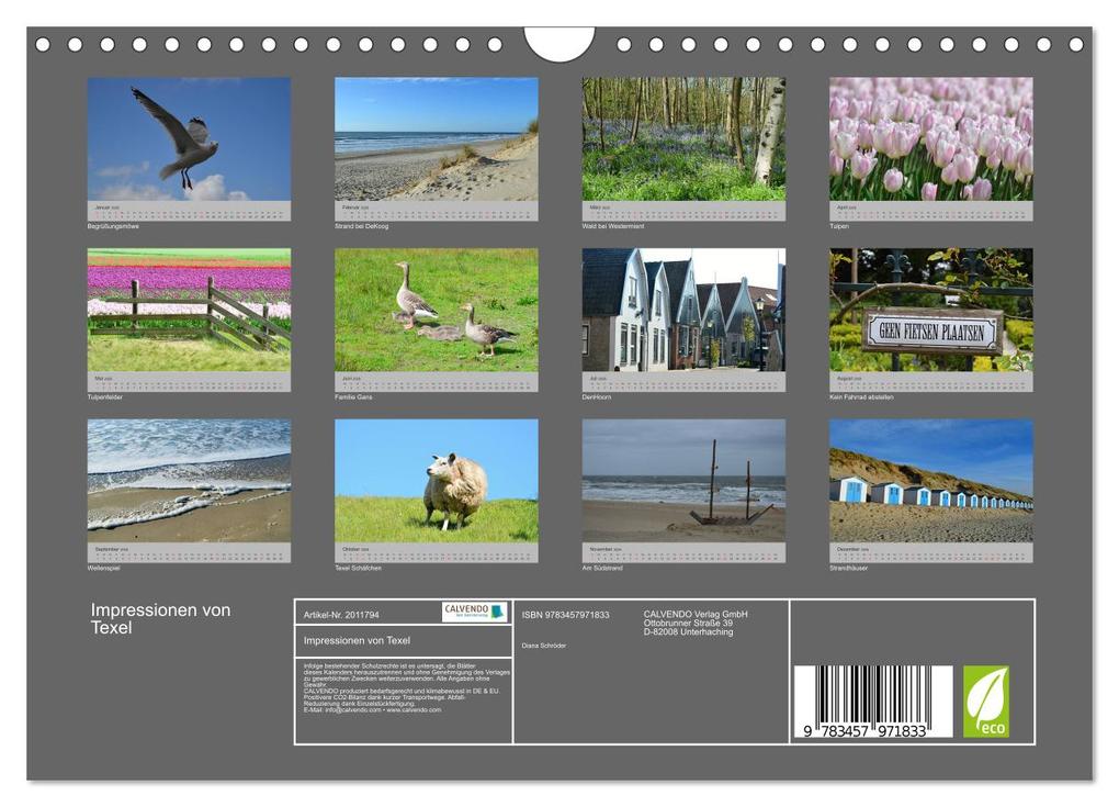 Weitere Ansicht: Impressionen von Texel (Wandkalender 2026 DIN A4 quer), CALVENDO Monatskalender | Calvendo, Diana Schröder