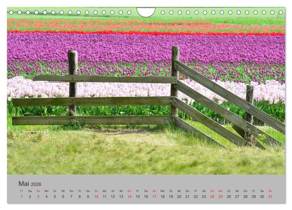 Weitere Ansicht: Impressionen von Texel (Wandkalender 2026 DIN A4 quer), CALVENDO Monatskalender | Calvendo, Diana Schröder