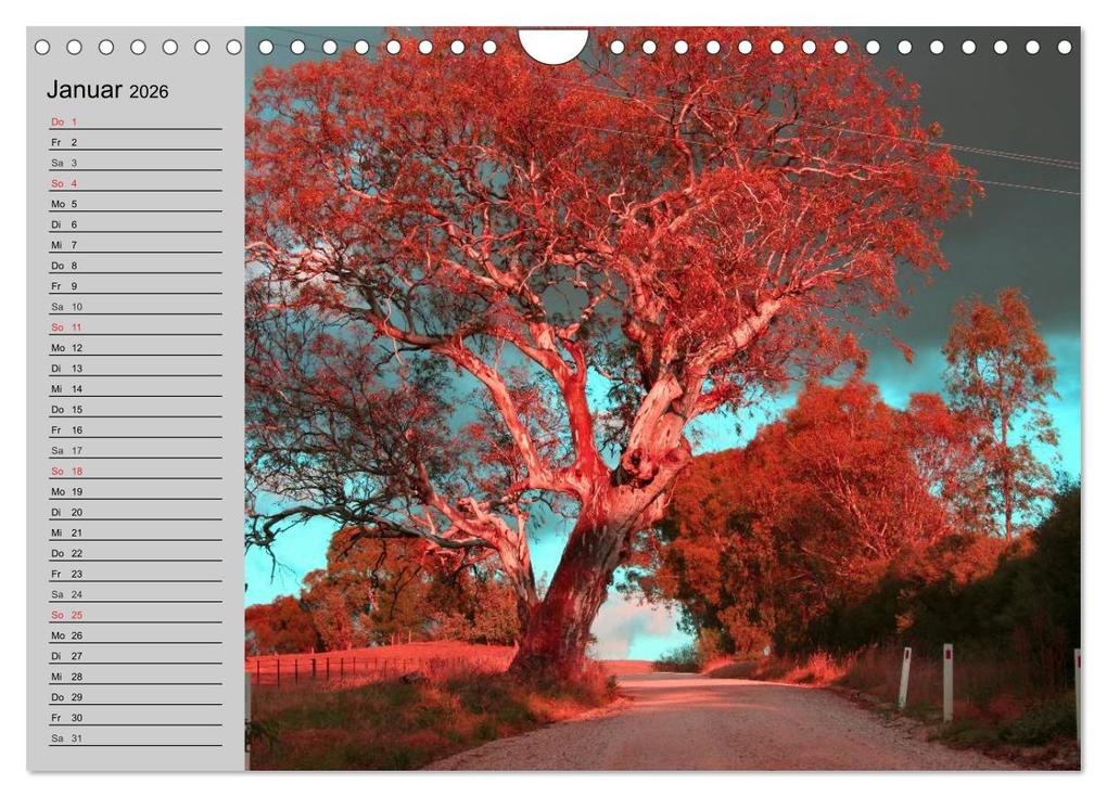 Weitere Ansicht: Australien. Impressionen (Wandkalender 2026 DIN A4 quer), CALVENDO Monatskalender | Calvendo, Elisabeth Stanzer