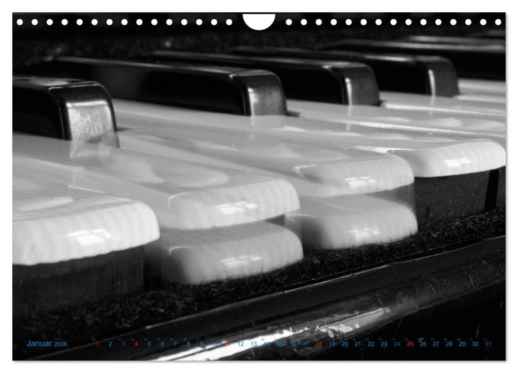 Weitere Ansicht: Akkordeon - close up (Wandkalender 2026 DIN A4 quer), CALVENDO Monatskalender | Calvendo, Silvia Drafz