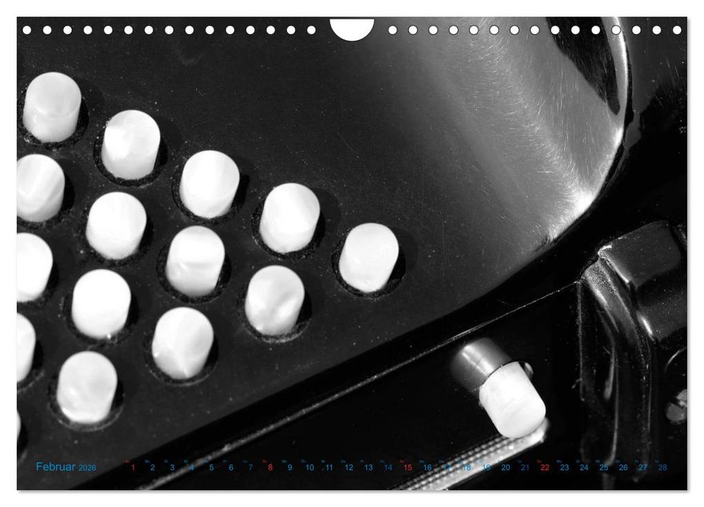 Weitere Ansicht: Akkordeon - close up (Wandkalender 2026 DIN A4 quer), CALVENDO Monatskalender | Calvendo, Silvia Drafz