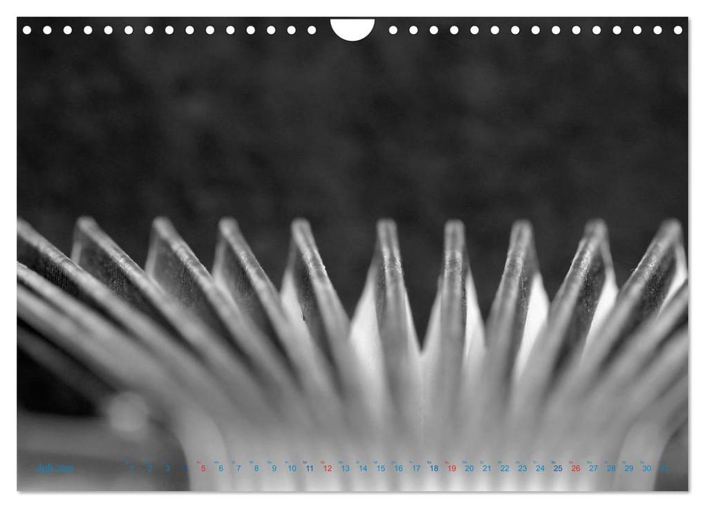 Weitere Ansicht: Akkordeon - close up (Wandkalender 2026 DIN A4 quer), CALVENDO Monatskalender | Calvendo, Silvia Drafz