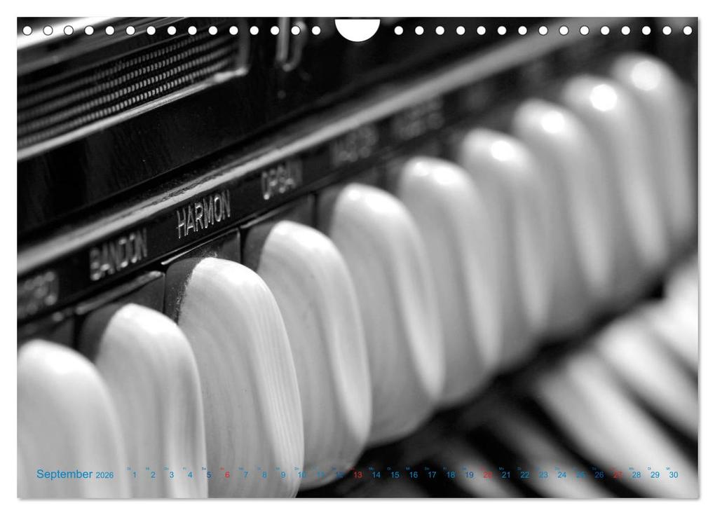 Weitere Ansicht: Akkordeon - close up (Wandkalender 2026 DIN A4 quer), CALVENDO Monatskalender | Calvendo, Silvia Drafz