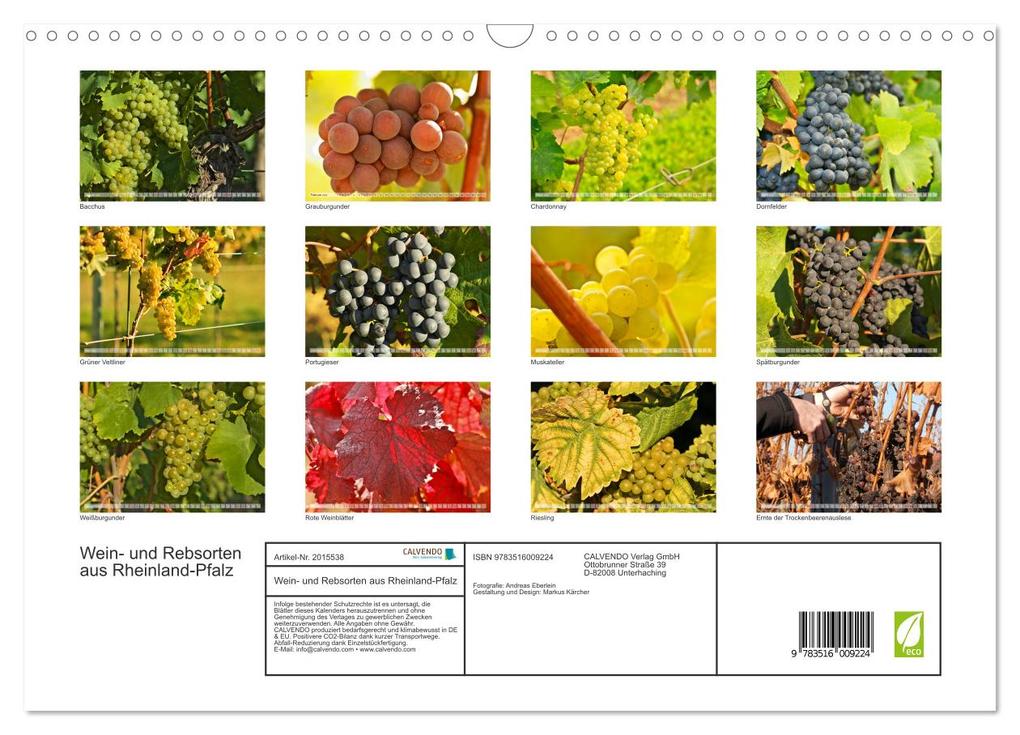 Weitere Ansicht: Wein- und Rebsorten aus Rheinland-Pfalz (Wandkalender 2026 DIN A3 quer), CALVENDO Monatskalender | Markus Kärcher, Andreas Eberlein, Calvendo, Markus Kärcher Eberlein