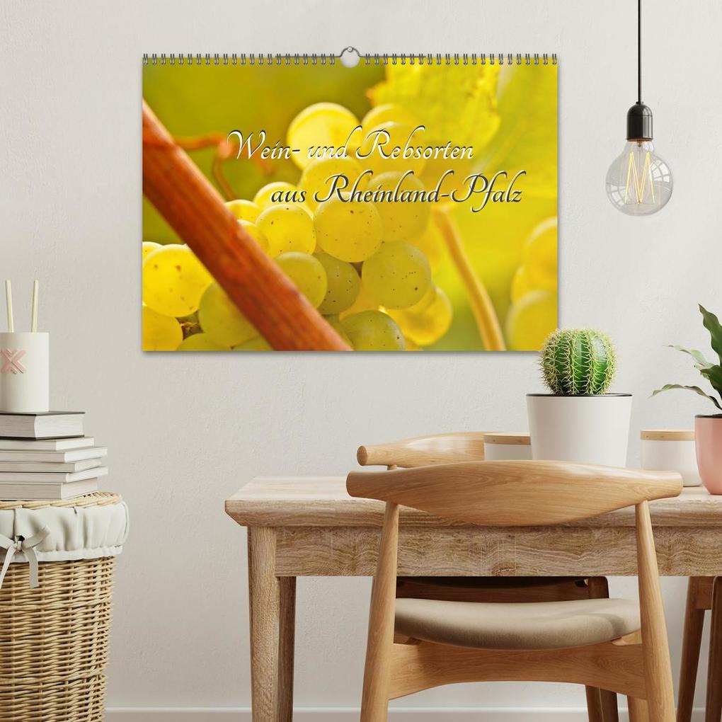 Weitere Ansicht: Wein- und Rebsorten aus Rheinland-Pfalz (Wandkalender 2026 DIN A3 quer), CALVENDO Monatskalender | Markus Kärcher, Andreas Eberlein, Calvendo, Markus Kärcher Eberlein