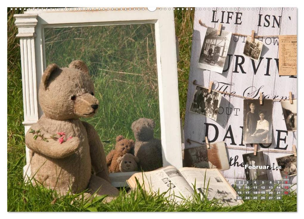 Weitere Ansicht: Geliebte Bären - Teddys (hochwertiger Premium Wandkalender 2026 DIN A2 quer), Kunstdruck in Hochglanz | Meike Bölts, Calvendo