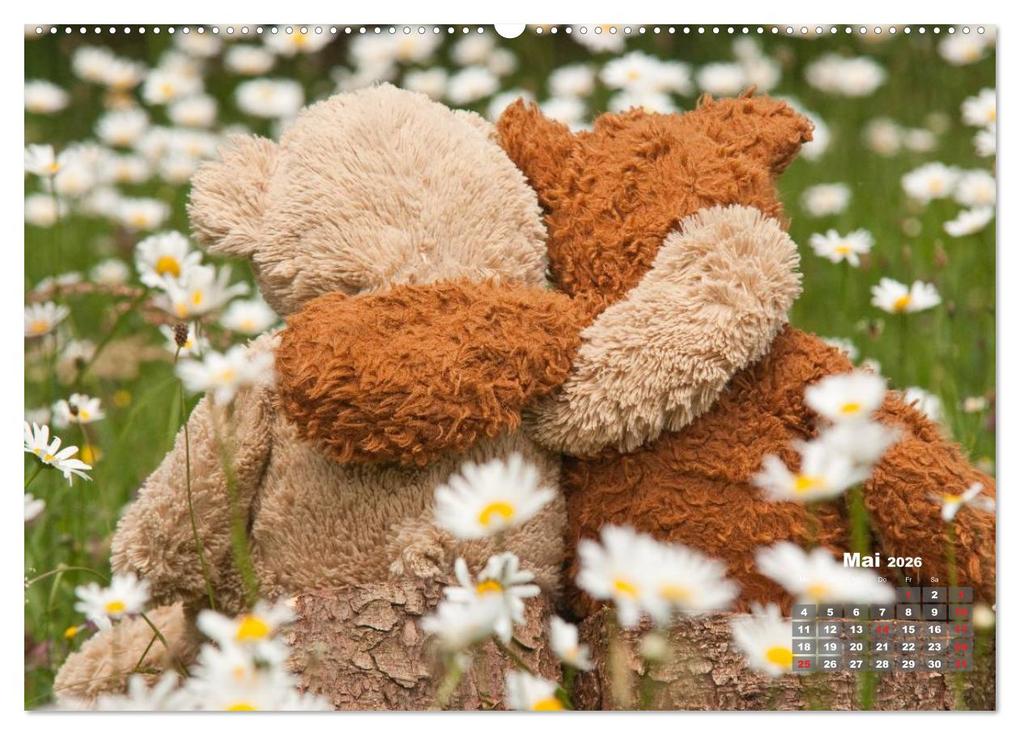 Weitere Ansicht: Geliebte Bären - Teddys (hochwertiger Premium Wandkalender 2026 DIN A2 quer), Kunstdruck in Hochglanz | Meike Bölts, Calvendo