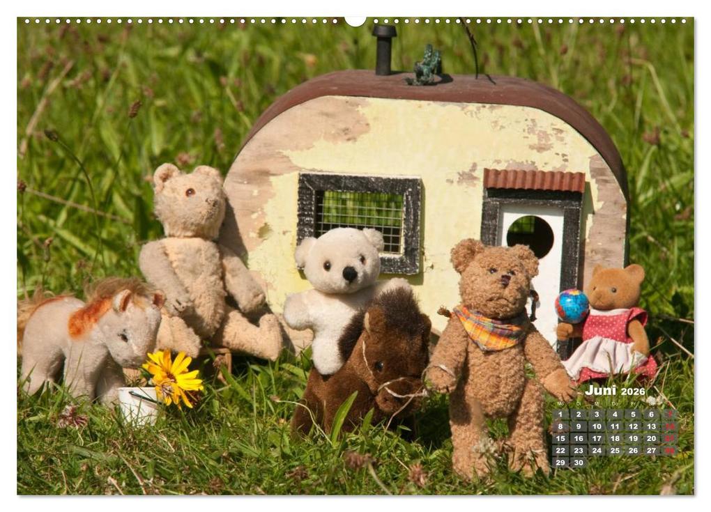 Weitere Ansicht: Geliebte Bären - Teddys (hochwertiger Premium Wandkalender 2026 DIN A2 quer), Kunstdruck in Hochglanz | Meike Bölts, Calvendo