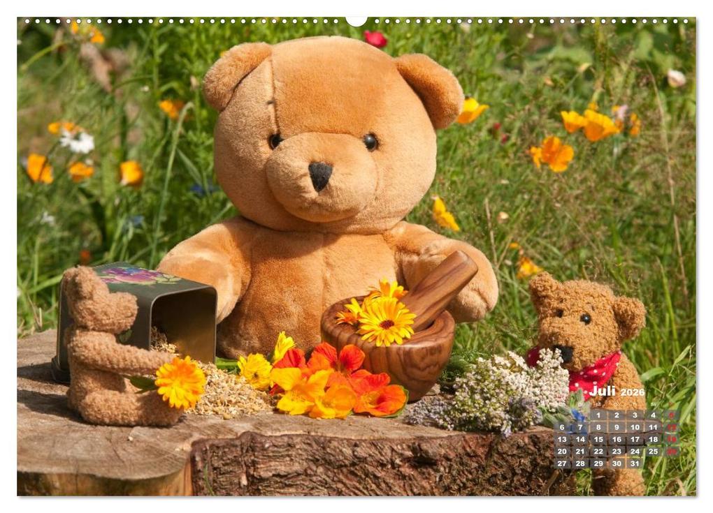 Weitere Ansicht: Geliebte Bären - Teddys (hochwertiger Premium Wandkalender 2026 DIN A2 quer), Kunstdruck in Hochglanz | Meike Bölts, Calvendo
